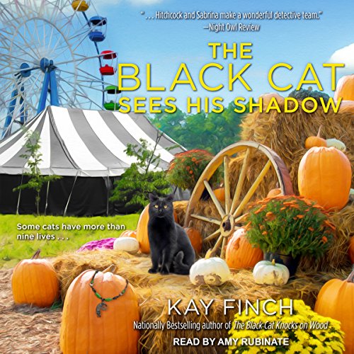 Couverture de The Black Cat Sees His Shadow