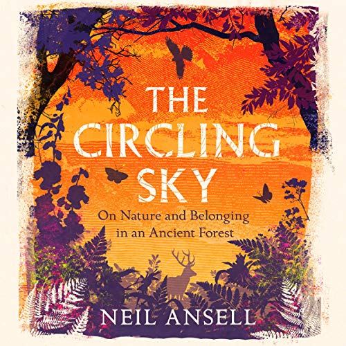 The Circling Sky cover art