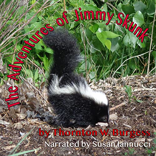 The Adventures of Jimmy Skunk cover art