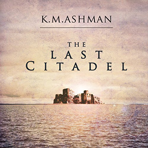 The Last Citadel cover art