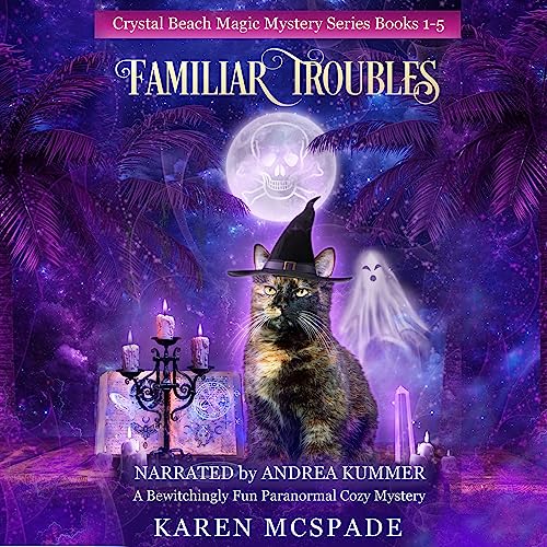 Familiar Troubles Audiolibro Por Karen McSpade arte de portada