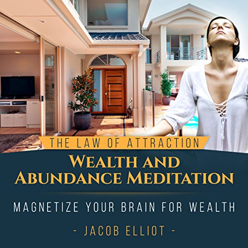 The Law of Attraction Wealth and Abundance Meditation cover art