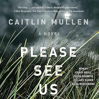 Please See Us Audiobook By Caitlin Mullen cover art