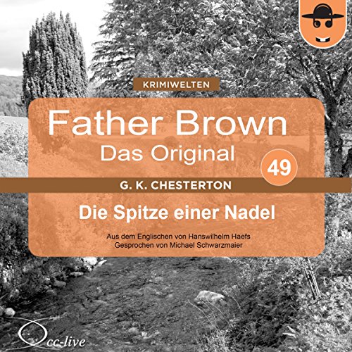 Couverture de Die Spitze einer Nadel