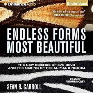 Endless Forms Most Beautiful Audiobook By Sean B. Carroll cover art