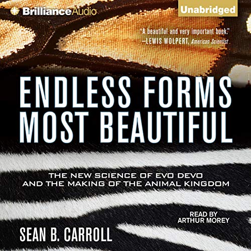 Endless Forms Most Beautiful Audiobook By Sean B. Carroll cover art