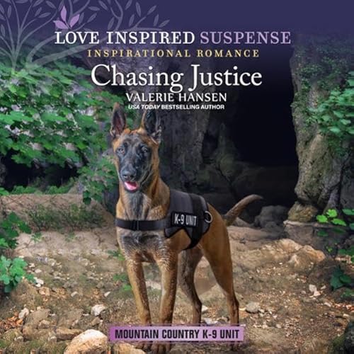 Chasing Justice Audiobook By Valerie Hansen cover art