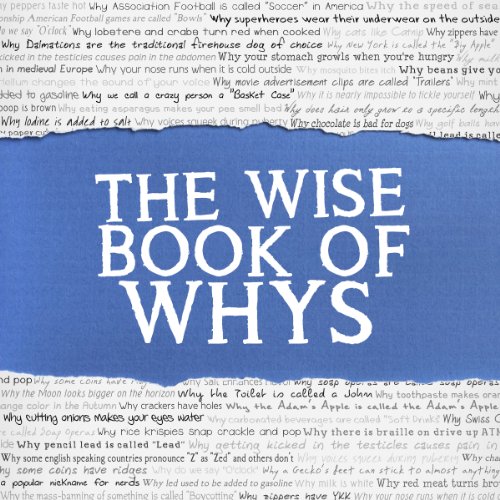 The Wise Book of Whys cover art