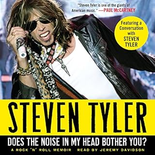 Does the Noise in My Head Bother You? Audiobook By Steven Tyler cover art