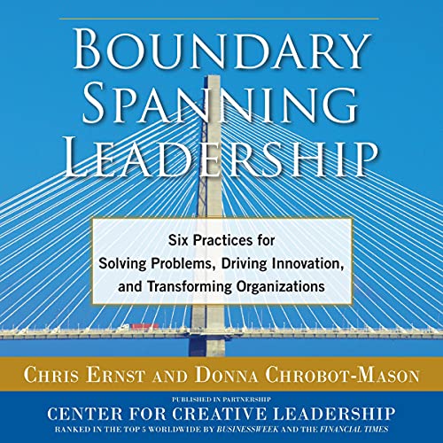 Boundary Spanning Leadership cover art