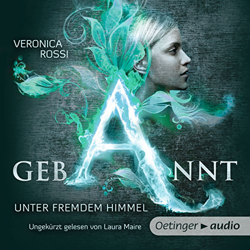 Gebannt - Unter fremdem Himmel cover art