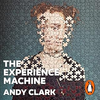 The Experience Machine Audiobook By Andy Clark cover art