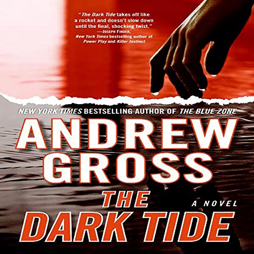 The Dark Tide Audiobook By Andrew Gross cover art