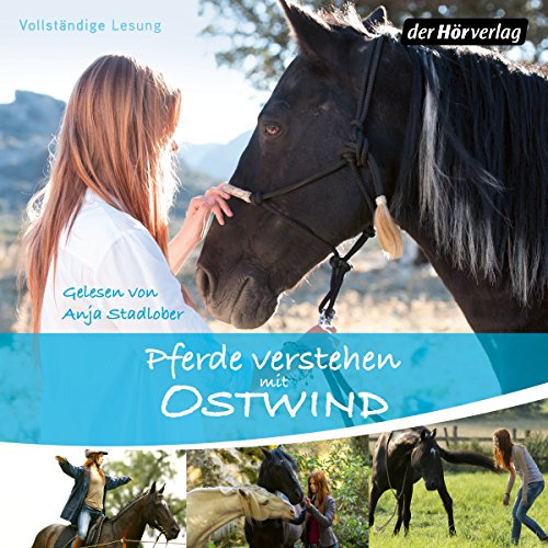 Pferde verstehen mit Ostwind cover art