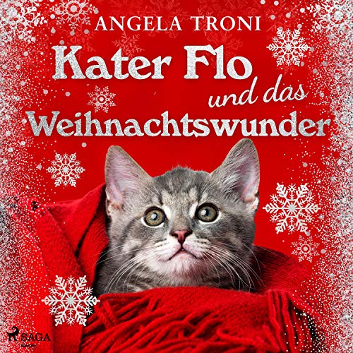 Couverture de Kater Flo und das Weihnachtswunder