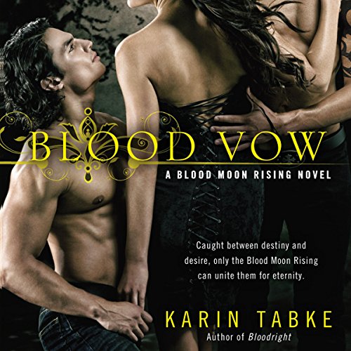 Blood Vow Audiolibro Por Karin Tabke arte de portada