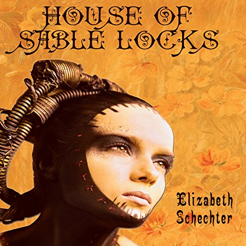 House of Sable Locks Audiolibro Por Elizabeth Schechter arte de portada