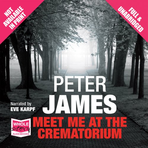 Page de couverture de Meet Me at the Crematorium