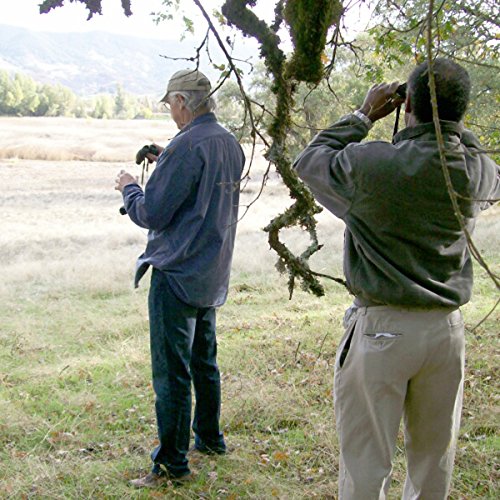 Audio Journeys: Rodman Nature Preserve, Clear Lake, California cover art