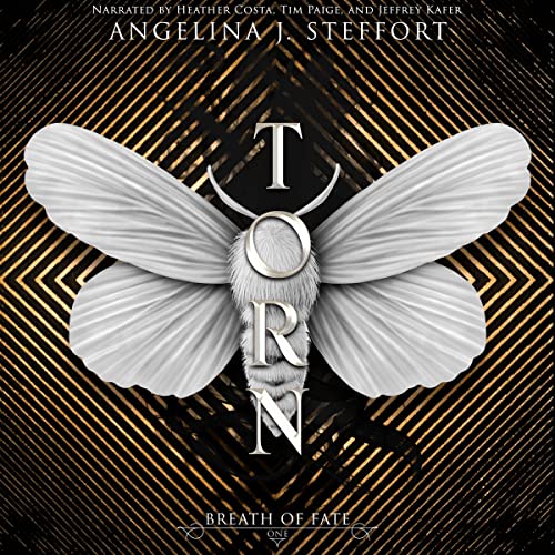 Torn cover art