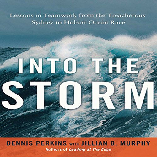 Into the Storm cover art