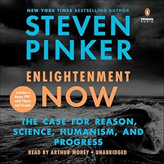 Enlightenment Now Audiobook By Steven Pinker cover art