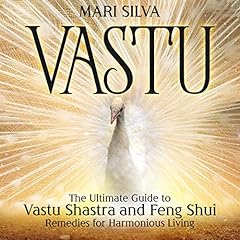 Vastu cover art