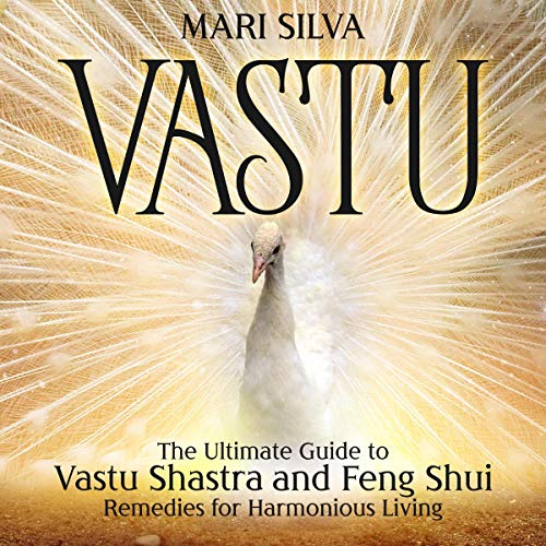 Vastu cover art