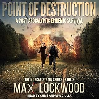 Point of Destruction cover art