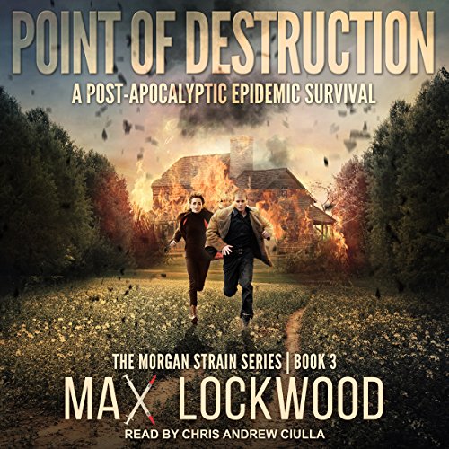 Point of Destruction cover art