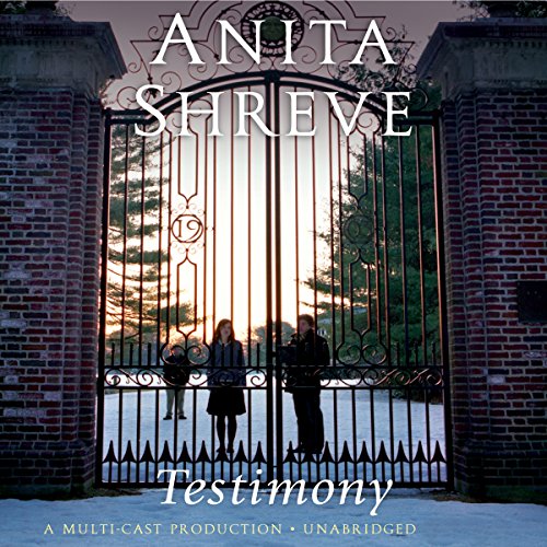 Testimony Audiolibro Por Anita Shreve arte de portada