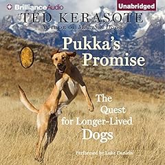 Pukka's Promise cover art