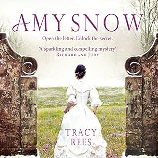 Amy Snow Audiolibro Por Tracy Rees arte de portada