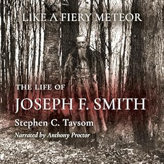 Like a Fiery Meteor Audiolibro Por Stephen C Taysom arte de portada