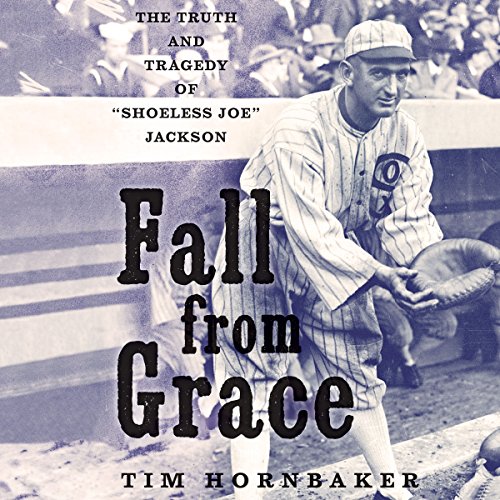 Fall from Grace Audiobook By Tim Hornbaker cover art