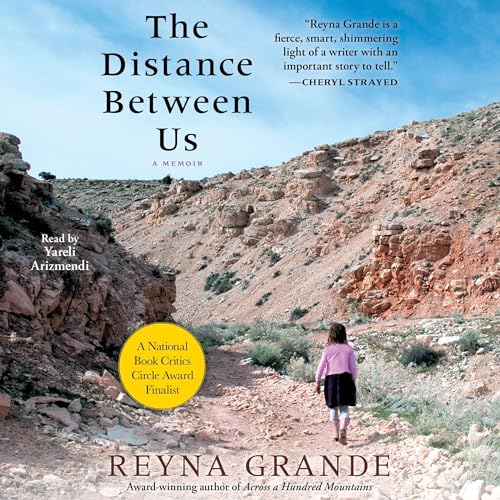 The Distance Between Us cover art