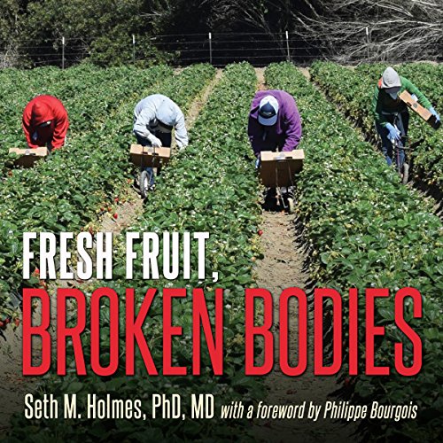 Fresh Fruit, Broken Bodies cover art