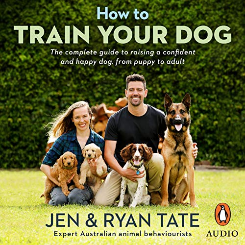 How to Train Your Dog cover art