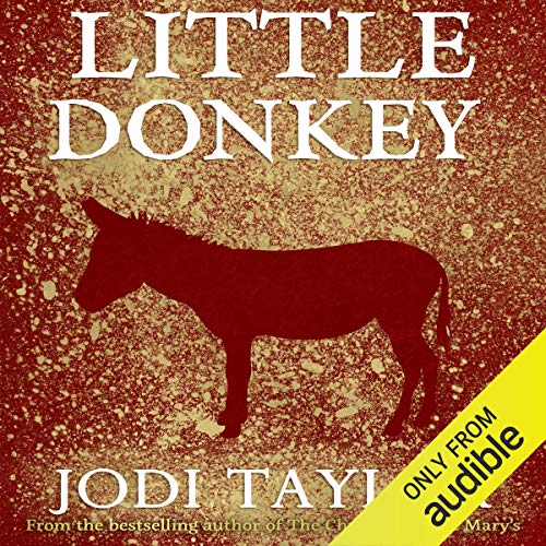 Little Donkey Titelbild