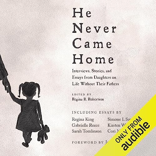 He Never Came Home cover art