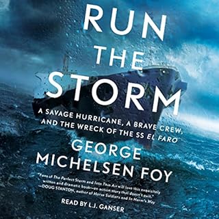 Run the Storm Audiobook By George Michelsen Foy cover art