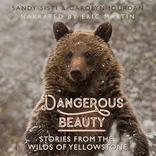 Dangerous Beauty Audiolibro Por Carolyn Jourdan, Sandy Sisti arte de portada