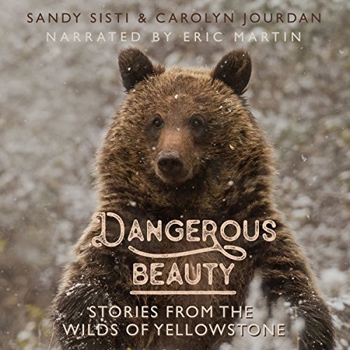 Couverture de Dangerous Beauty