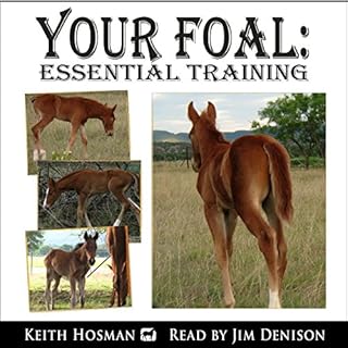 Your Foal Audiolibro Por Keith Hosman arte de portada