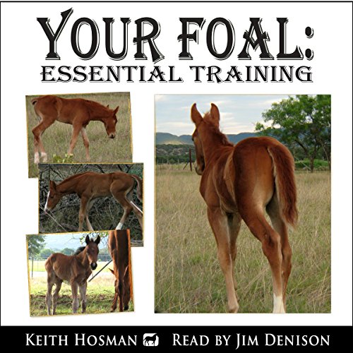 Your Foal Audiolibro Por Keith Hosman arte de portada