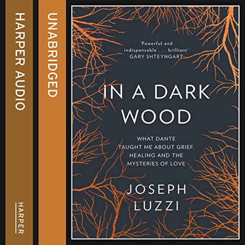 In a Dark Wood Audiolibro Por Joseph Luzzi arte de portada