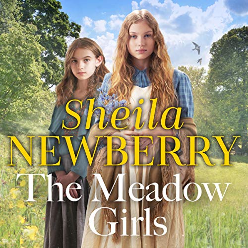 The Meadow Girls Audiolivro Por Sheila Everett, Sheila Newberry capa