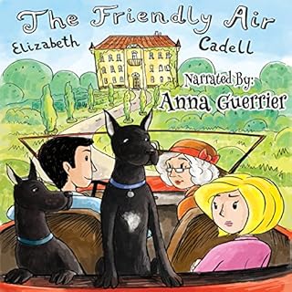 The Friendly Air Audiolibro Por Elizabeth Cadell arte de portada