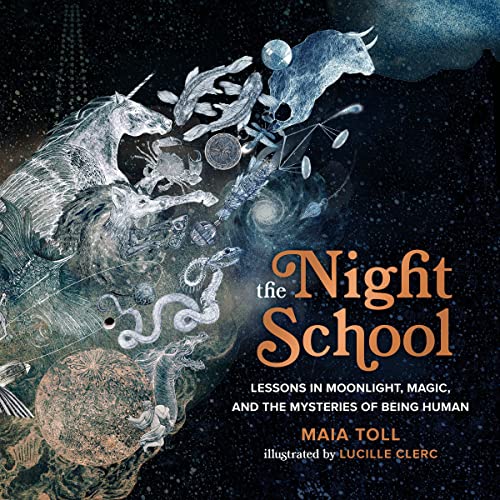 The Night School cover art