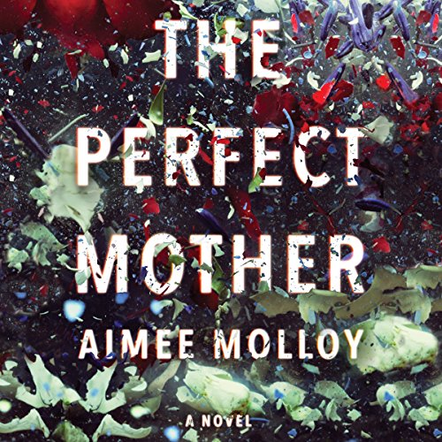 The Perfect Mother Audiobook By Aimee Molloy cover art